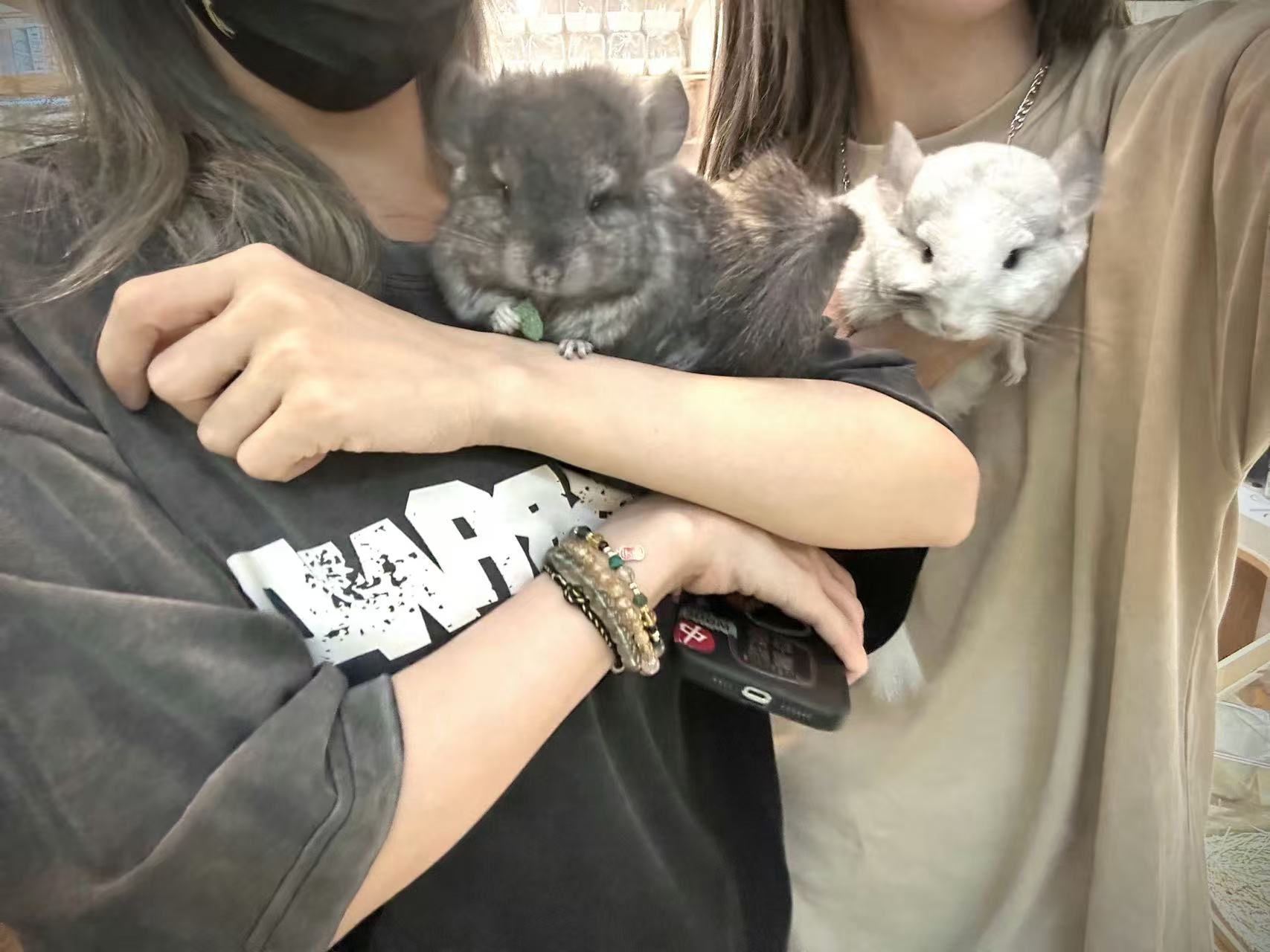 蛋壳family档案图片5