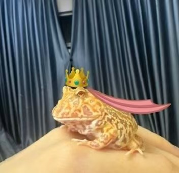 蛋壳family档案图片6